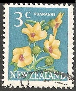 Puarangi (Hibiscus).