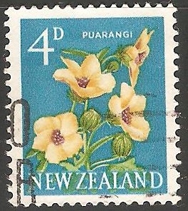 Puarangi (Hibiscus)