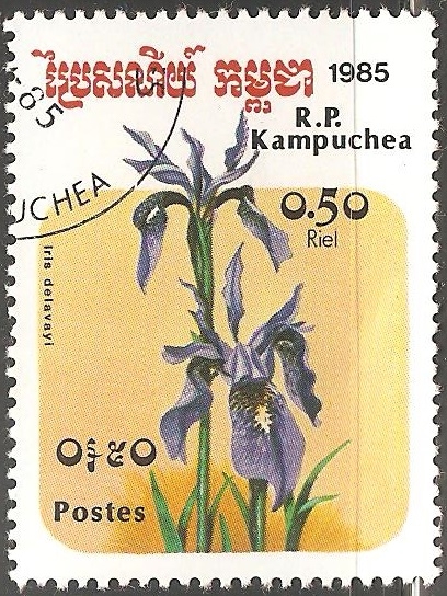 Iris delavayi