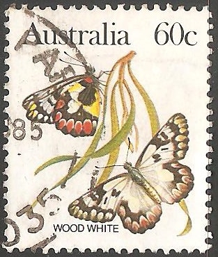 wood white