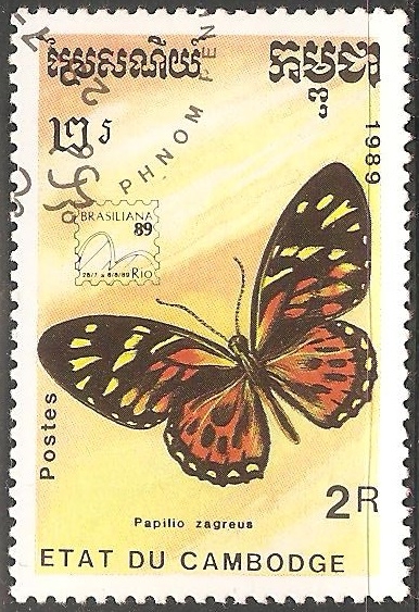 Zagreus Papilio 