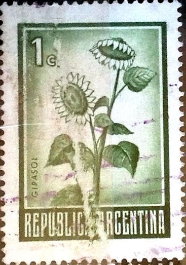 Intercambio 0,20 usd  1 cent. 1970