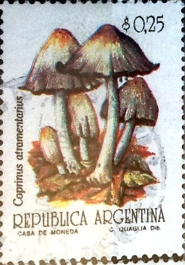 Intercambio 0,35 usd  25 cent. 1993