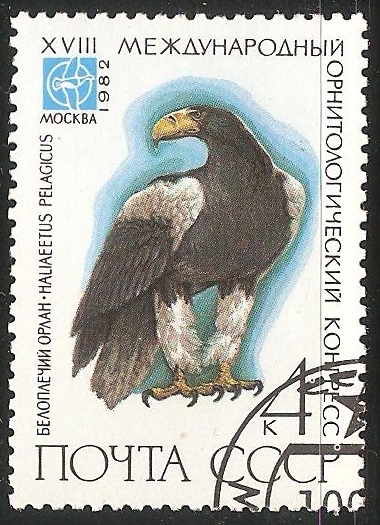 Haliaeetus pelagicus