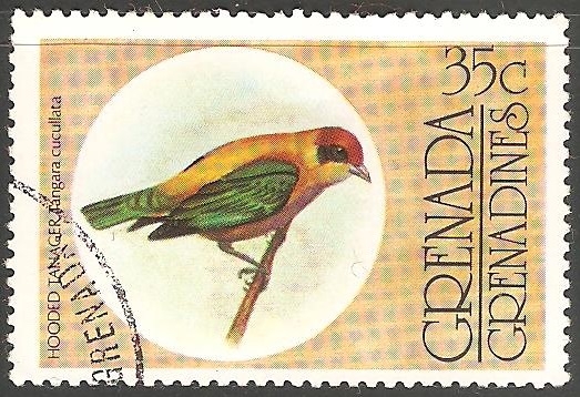 Cocoa thrush- sabiá-verdadeiro