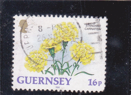 flores -GUERNSEY