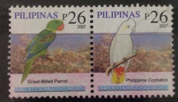 Pajaros