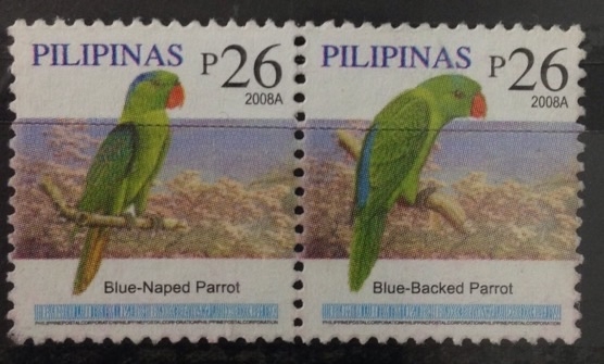 Pajaros