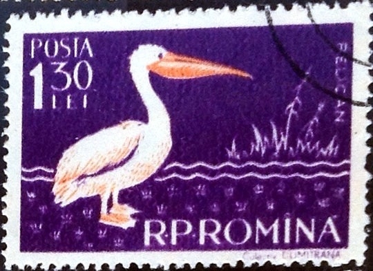 Intercambio 0,30 usd 1,30 l. 1957