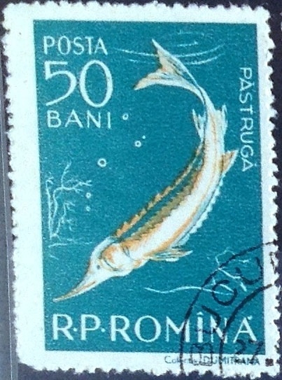 Intercambio 0,20 usd 50 b. 1957