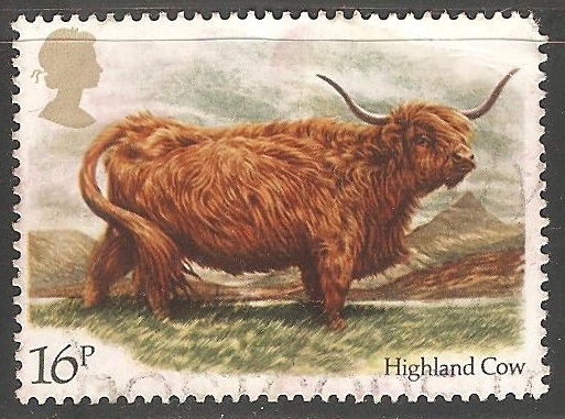 Highland cow-Vaca de las tierras altas