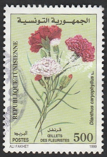 Flores dianthus caryophyllus