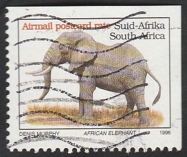 Elefante africano