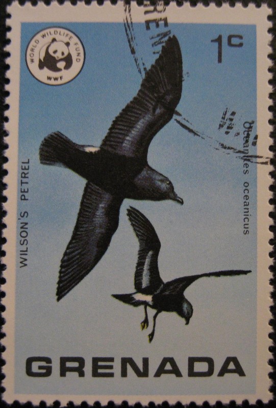 Wild Birds of Grenada and Wildlife Fund Emblem