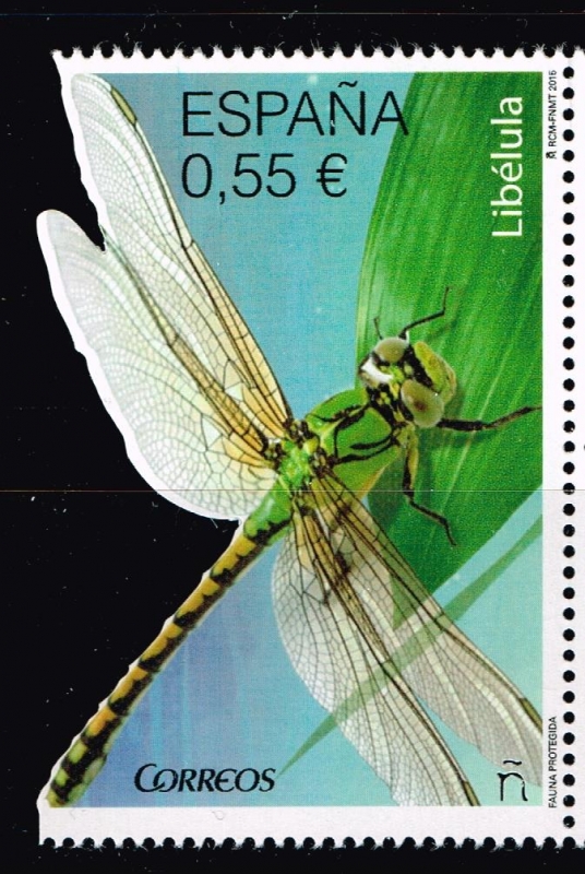 Edifil  4982  Fauna protegida. 