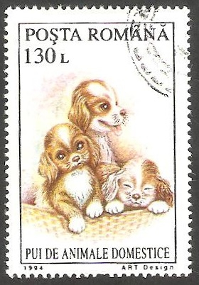 4218 - Cachorros, animal doméstico