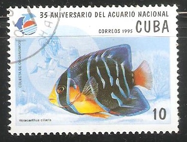 35 Aniversario del acuario nacional