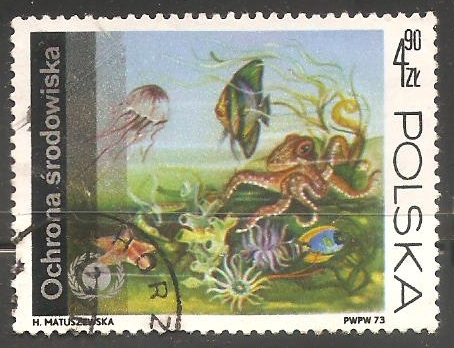 Underwater fauna and flora