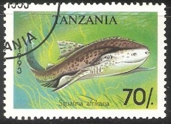 Sguatina afrikana