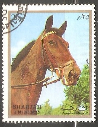 Caballo