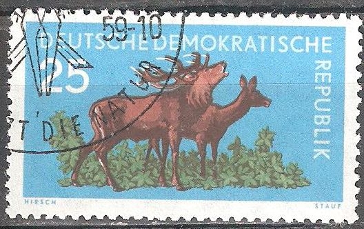 Animales del bosque. Ciervos rojos (DDR).