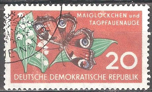 Conservación, lirios y pavo real de mariposa (DDR).