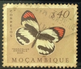 Mariposa