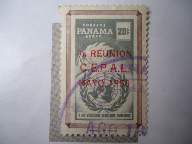 8A Reunión C.E.P.A.L. Mayo 19559 - X Aniversario Derechos Humanos.