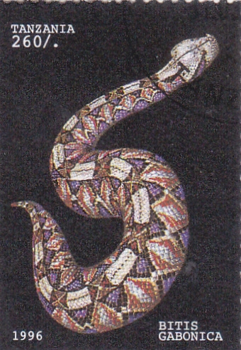 serpiente