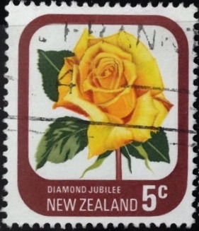 Rosa Diamond Jubilee