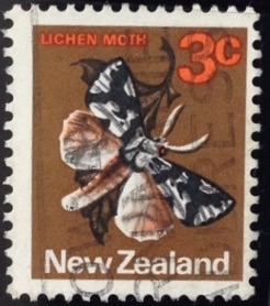 Lichen Moth