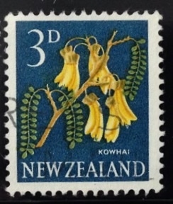 Kowhai