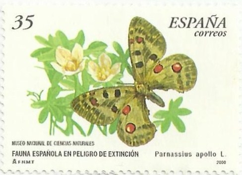 FAUNA ESPAÑOLA EN PELIGRO DE EXTINCIÓN. APOLO, Parnassius apollo. EDIFIL 3694