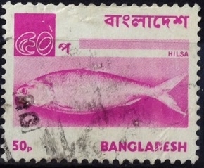 Hilsa