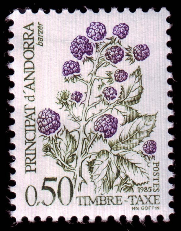 Moras silvestres 