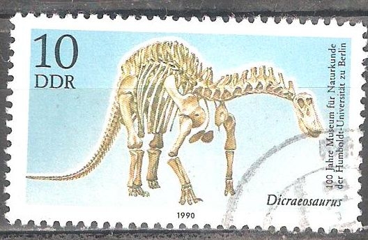 Cent. del Museo de Historia Natural de la Universidad Humboldt de Berlín(Dicraeosaurus)DDR.