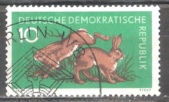 Los animales del bosque,Liebre(DDR).