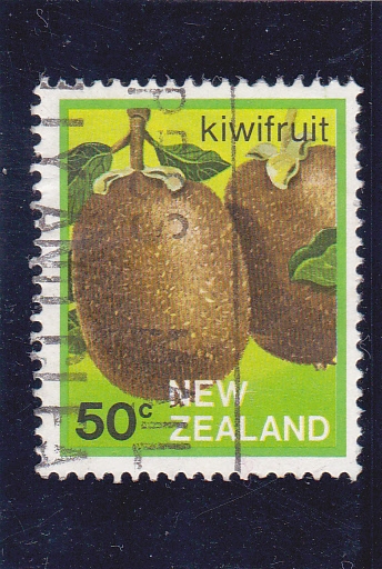 fruta-kiwi