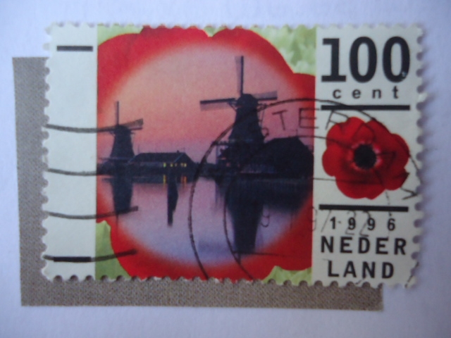 Nederland 1996 - 100 cent.