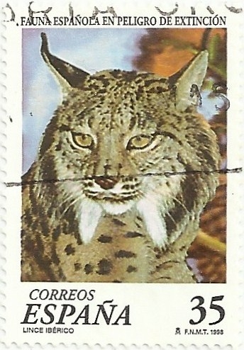 (206) FAUNA ESPAÑOLA EN PELIGRO DE EXTINCIÓN. LINCE IBÉRICO, Lynx pardinus. EDIFIL 3529