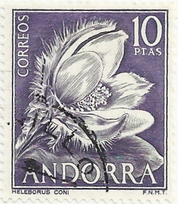 FLORES. ROSA DE NAVIDAD. Helleborus coni. YVERT AD-ES 64