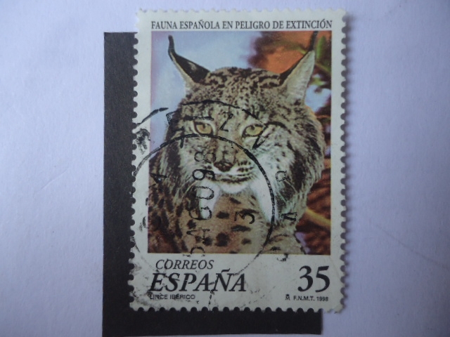 Ed: 3529 - Lince Iberico - Fauna Española en piligro de extinció.n