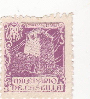 MILENARIO DE CASTILLA (24)