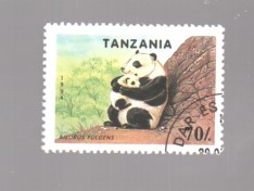 oso panda