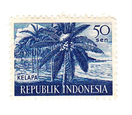 Kelapa