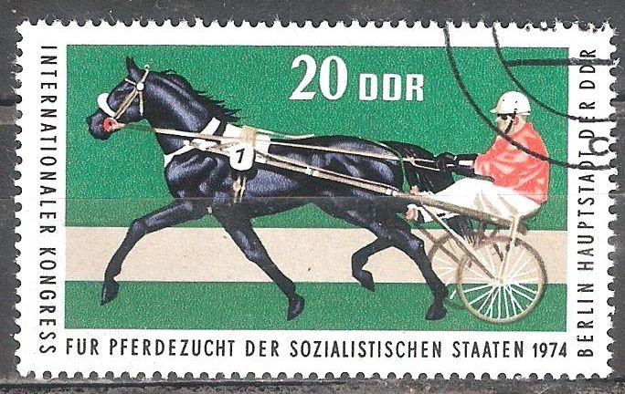 Congreso Inter, de criadores de caballos del Estado Sociallista 1974 - Berlín, (DDR).