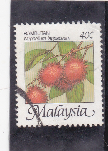 FRUTA- RAMBUTAN