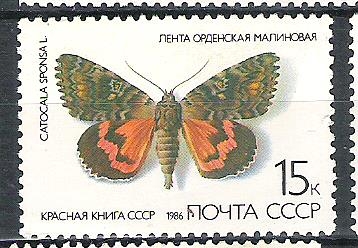 C.C.C.P. Mariposas Nº4