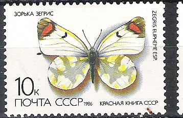 C.C.C.P. Mariposas Nº3