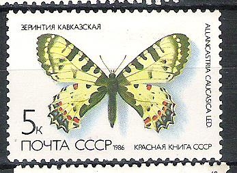 C.C.C.P. Butterflies Nº2